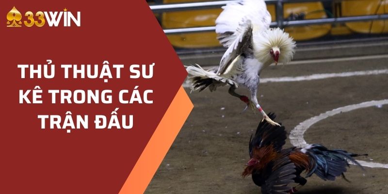 Thủ thuật sư kê trong các trận đấu