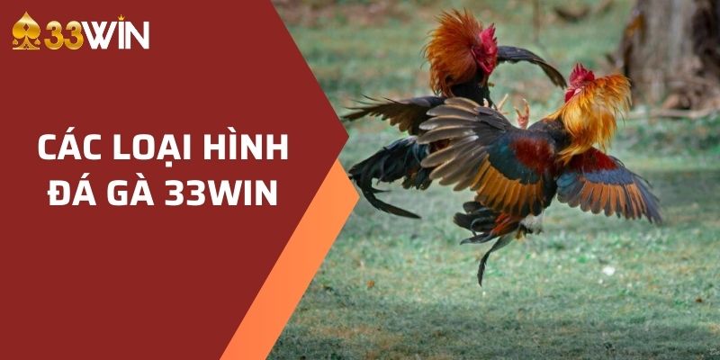 Các loại hình đá gà 33WIN 