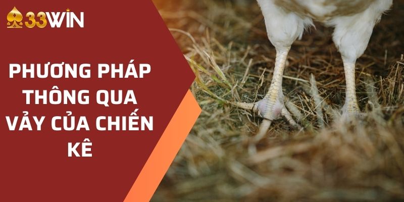 Phương pháp thông qua vảy của chiến kê