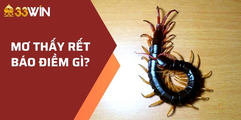 Mơ thấy rết báo điềm gì?