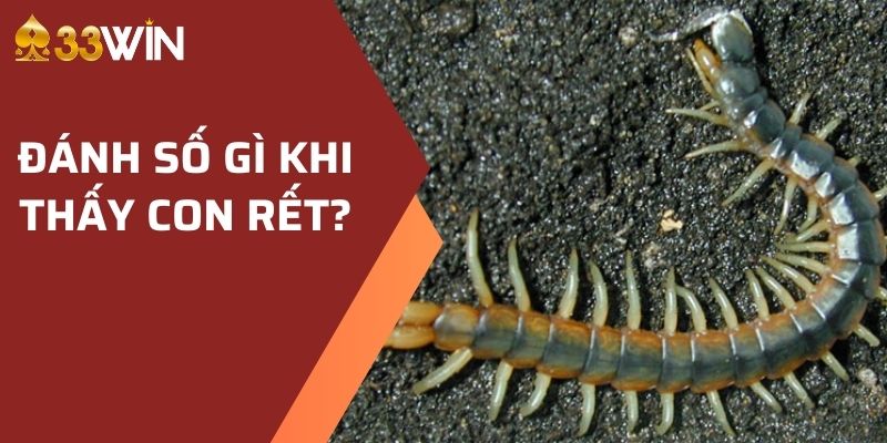 Đánh số gì khi thấy con rết?